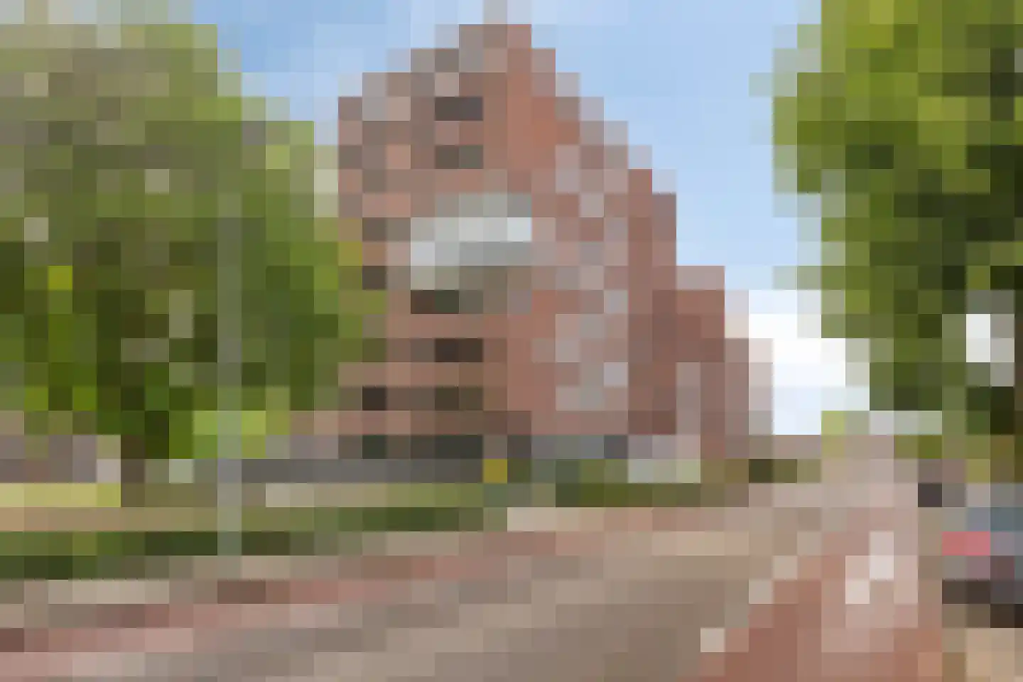 Franciscanerpoort 26 Venray thumbnail 30