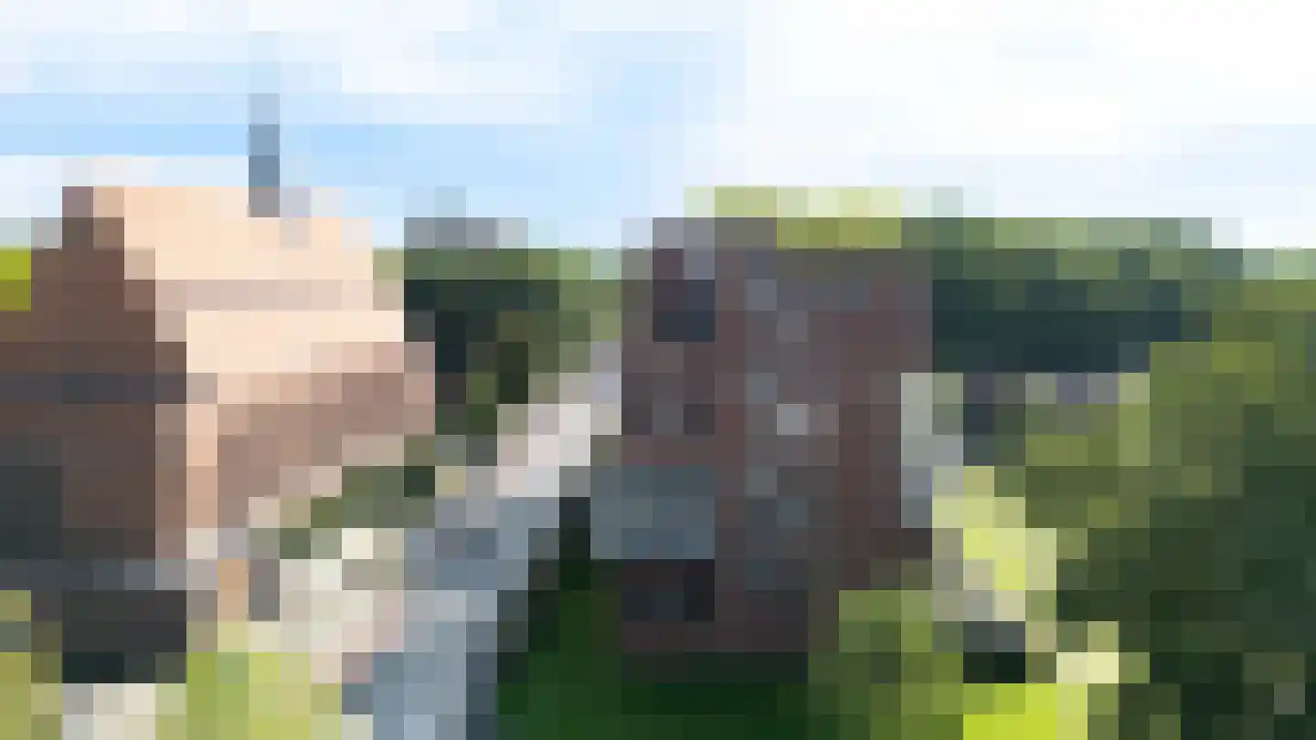 Franciscanerpoort 44 Venray thumbnail 8
