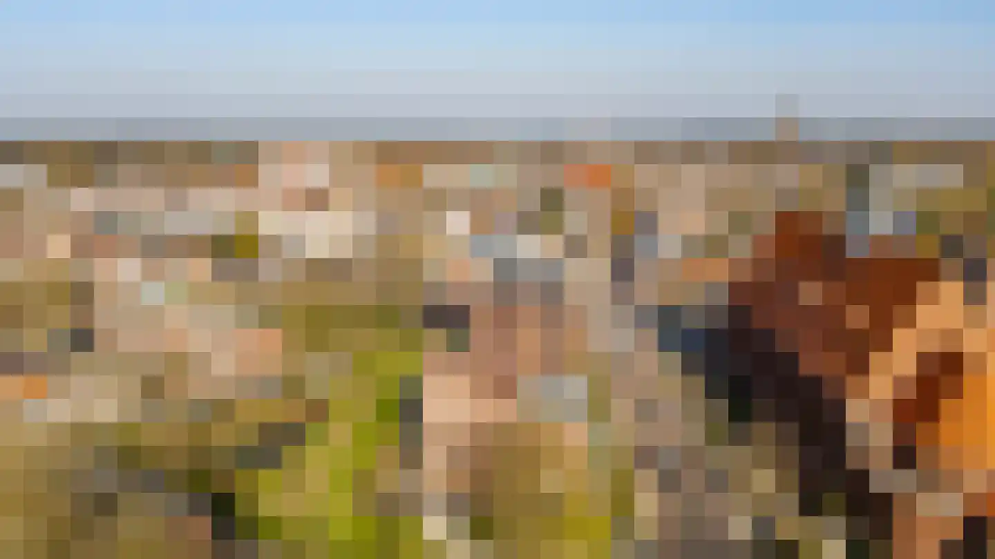 Franciscanerpoort 52 Venray thumbnail 33