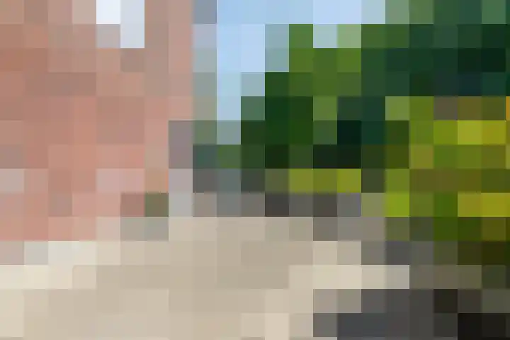 Franciscanerpoort 7 Venray thumbnail 31