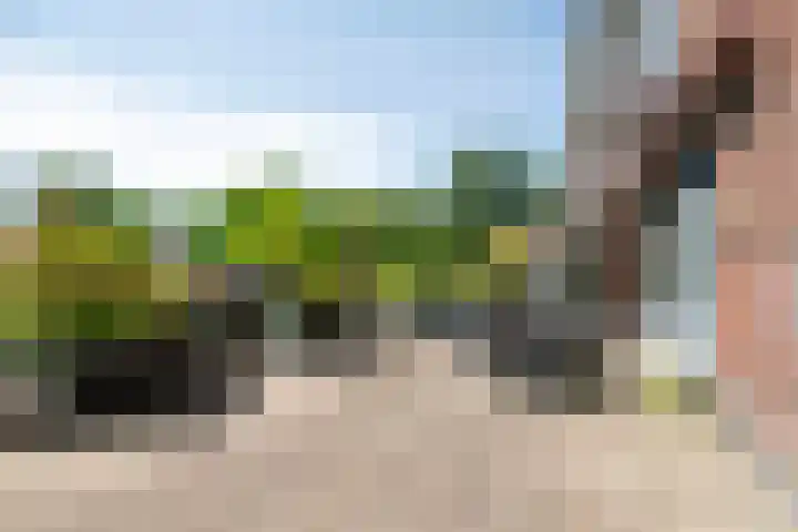Franciscanerpoort 7 Venray thumbnail 33