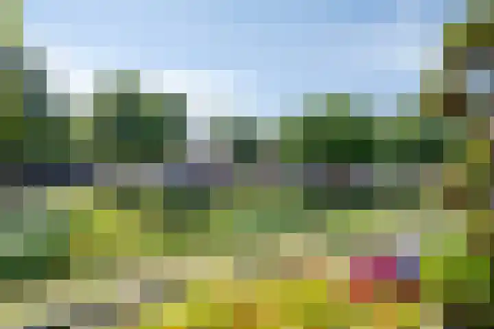 Franciscanerpoort 7 Venray thumbnail 36