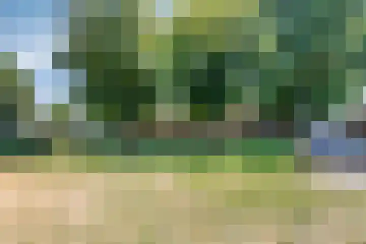 Franciscanerpoort 7 Venray thumbnail 41