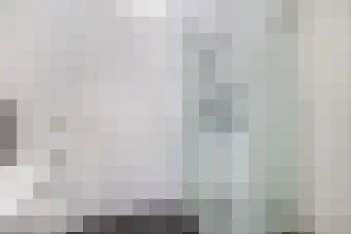 Franciscanessenlaan 17 Veghel thumbnail 17