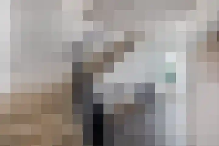 Franciscanessenlaan 17 Veghel thumbnail 22