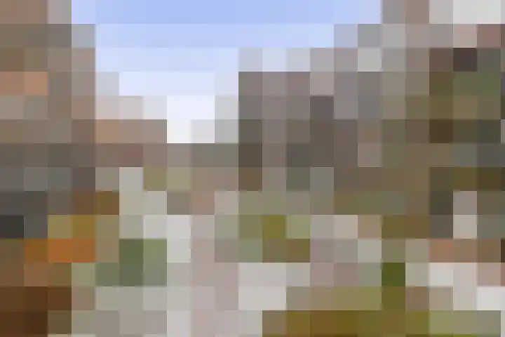 Franciscanessenlaan 17 Veghel thumbnail 26