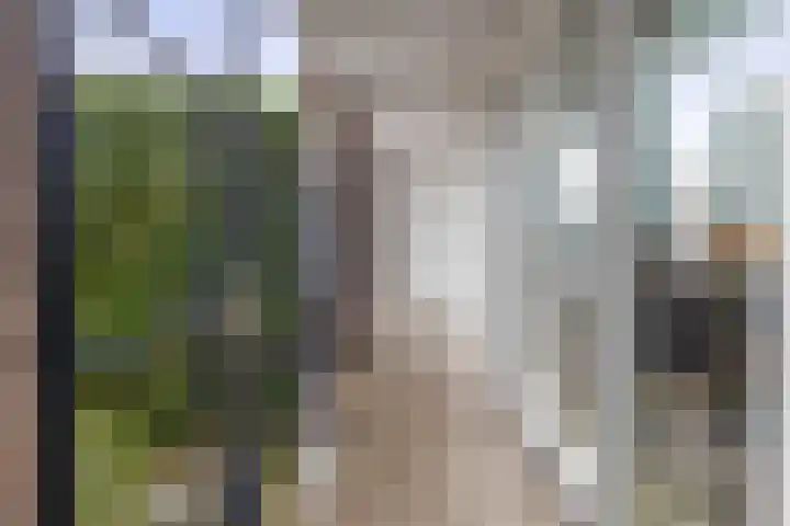 Franciscanessenlaan 17 Veghel thumbnail 4