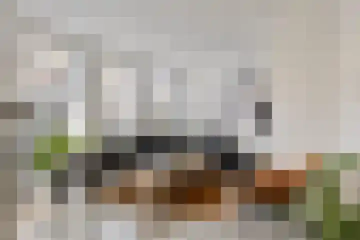 Franciscanessenlaan 19 Veghel thumbnail 13