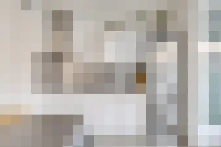 Franciscanessenlaan 19 Veghel thumbnail 18