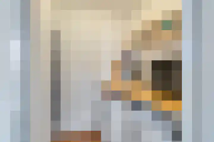 Franciscanessenlaan 19 Veghel thumbnail 19