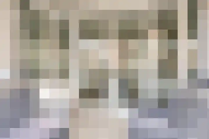 Franciscanessenlaan 19 Veghel thumbnail 20