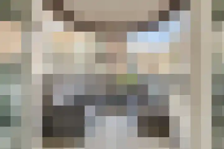 Franciscanessenlaan 19 Veghel thumbnail 21