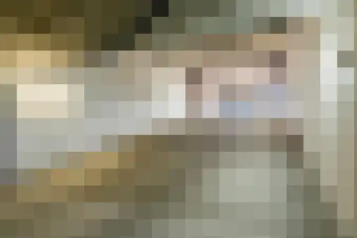 Franciscanessenlaan 19 Veghel thumbnail 31