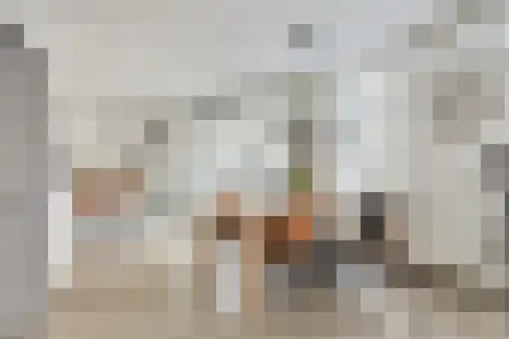 Franciscanessenlaan 19 Veghel thumbnail 4