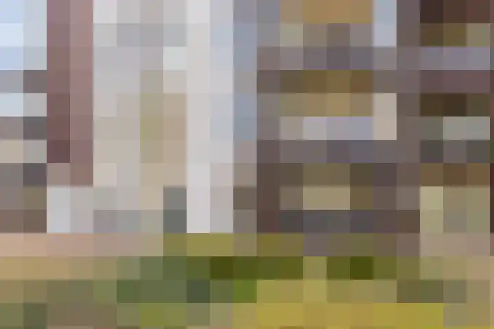 Franciscanessenlaan 19 Veghel thumbnail 8