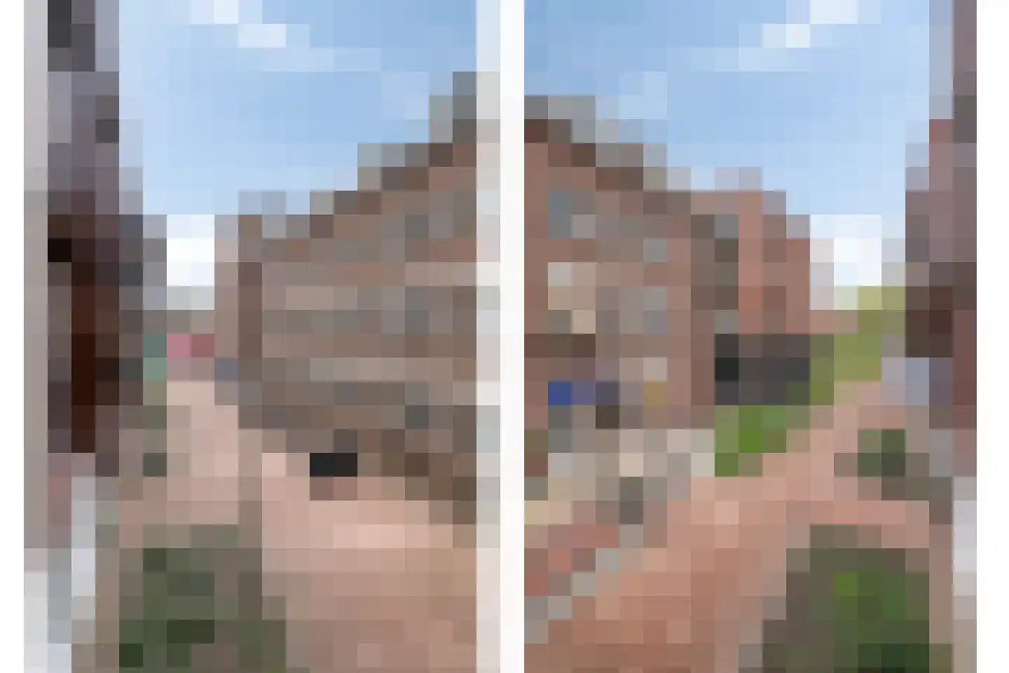 Franciscanessenlaan 29 Veghel thumbnail 21