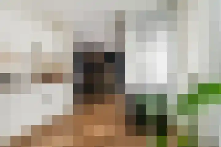 Franciscanessenlaan 49 Veghel thumbnail 17