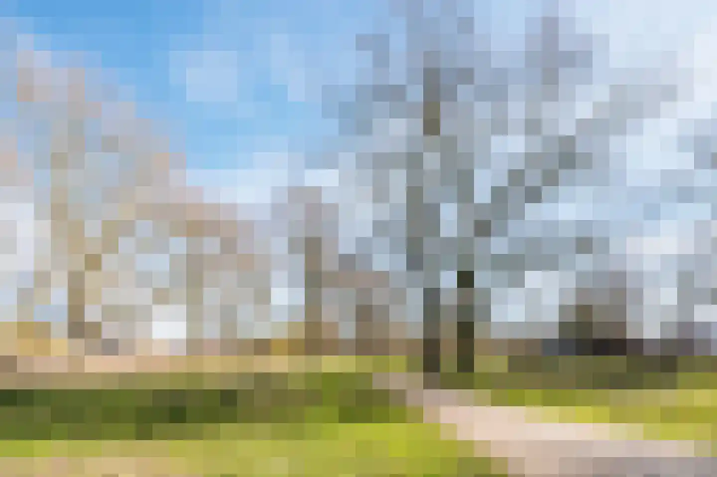 Franciscanessenlaan 49 Veghel thumbnail 37