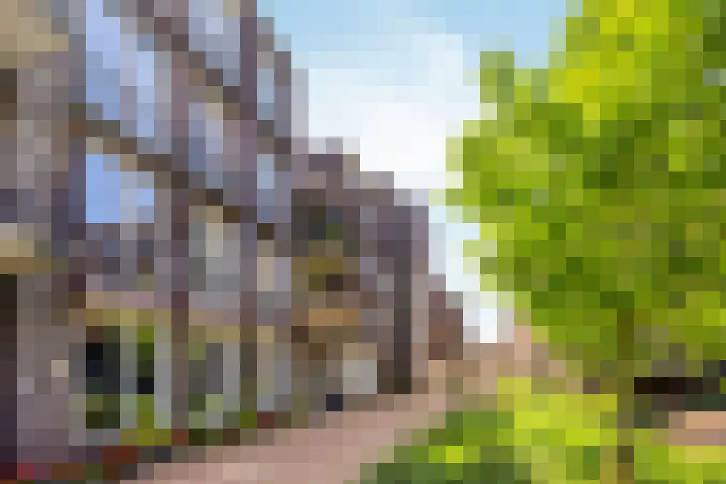 Franciscanessenlaan 51 Veghel thumbnail 4