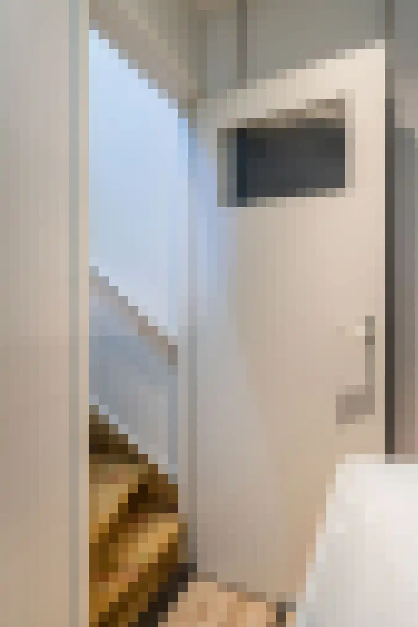 Franciscanessenstraat 3 Nederweert thumbnail 35