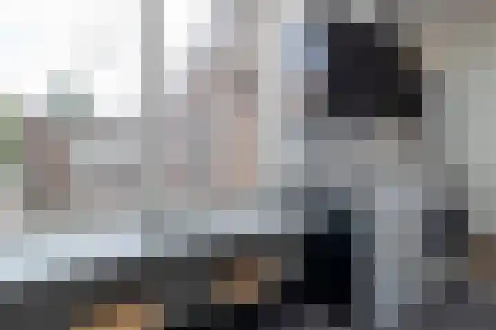 Franciscanessenstraat 8 Haarlemmerliede thumbnail 50