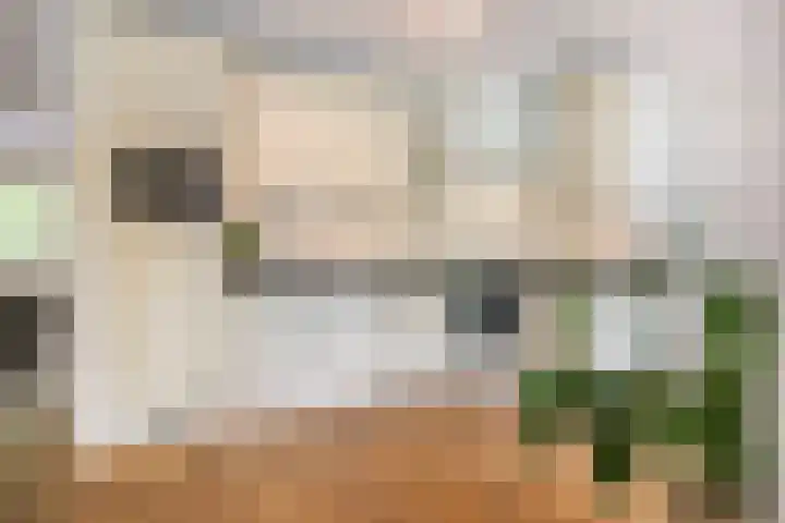 Franciscanessenstraat 8 Molenhoek thumbnail 13
