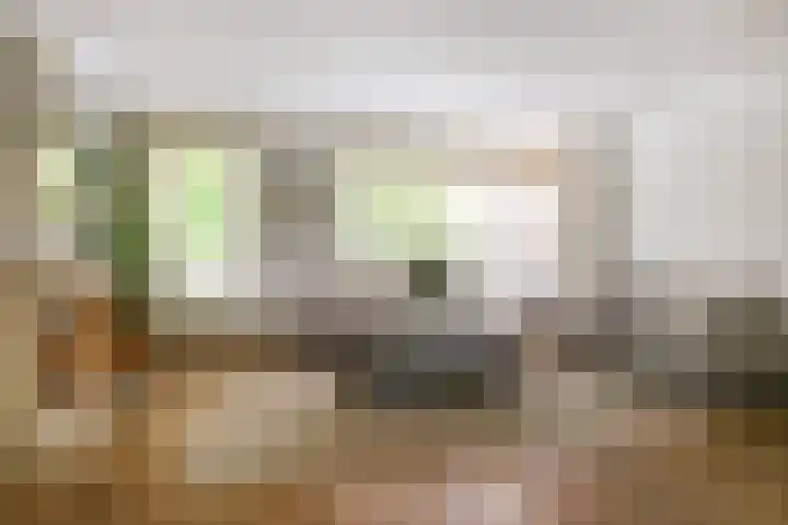 Franciscanessenstraat 8 Molenhoek thumbnail 20