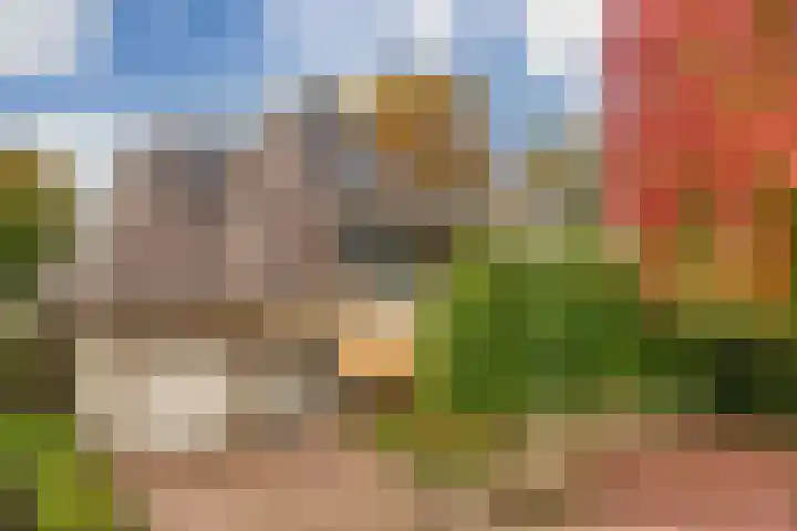 Franciscanessenstraat 8 Molenhoek thumbnail 39