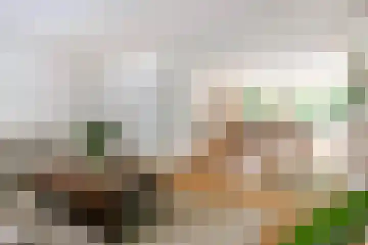 Franciscanessenstraat 8 Molenhoek thumbnail 5
