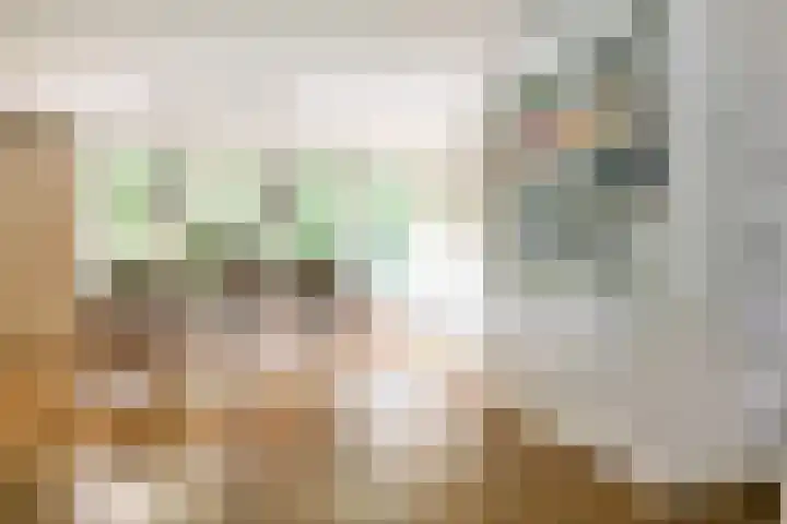 Franciscanessenstraat 8 Molenhoek thumbnail 6