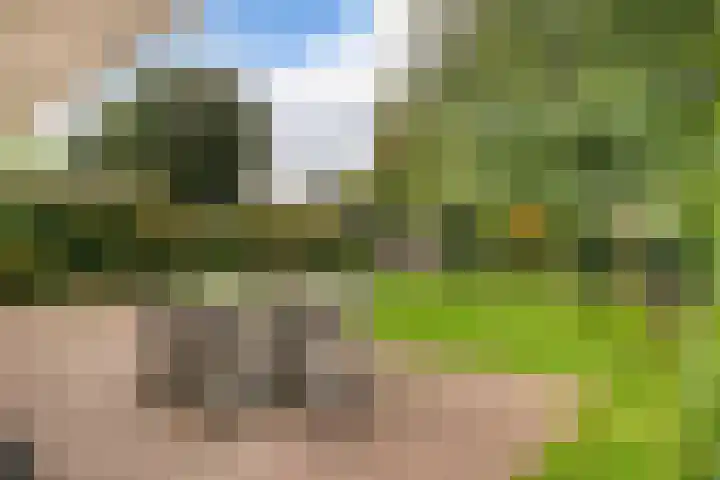 Franciscanessenstraat 8 Molenhoek thumbnail 7