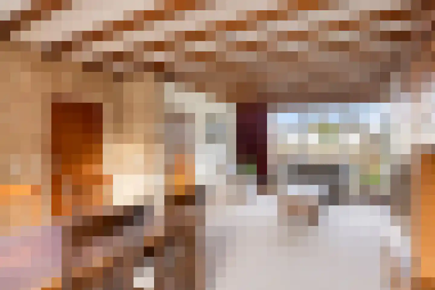 Franciscanessenweg 29 Nistelrode thumbnail 11