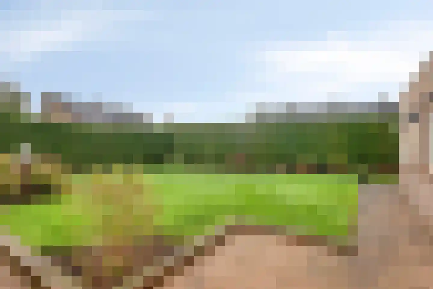 Franciscanessenweg 29 Nistelrode thumbnail 27