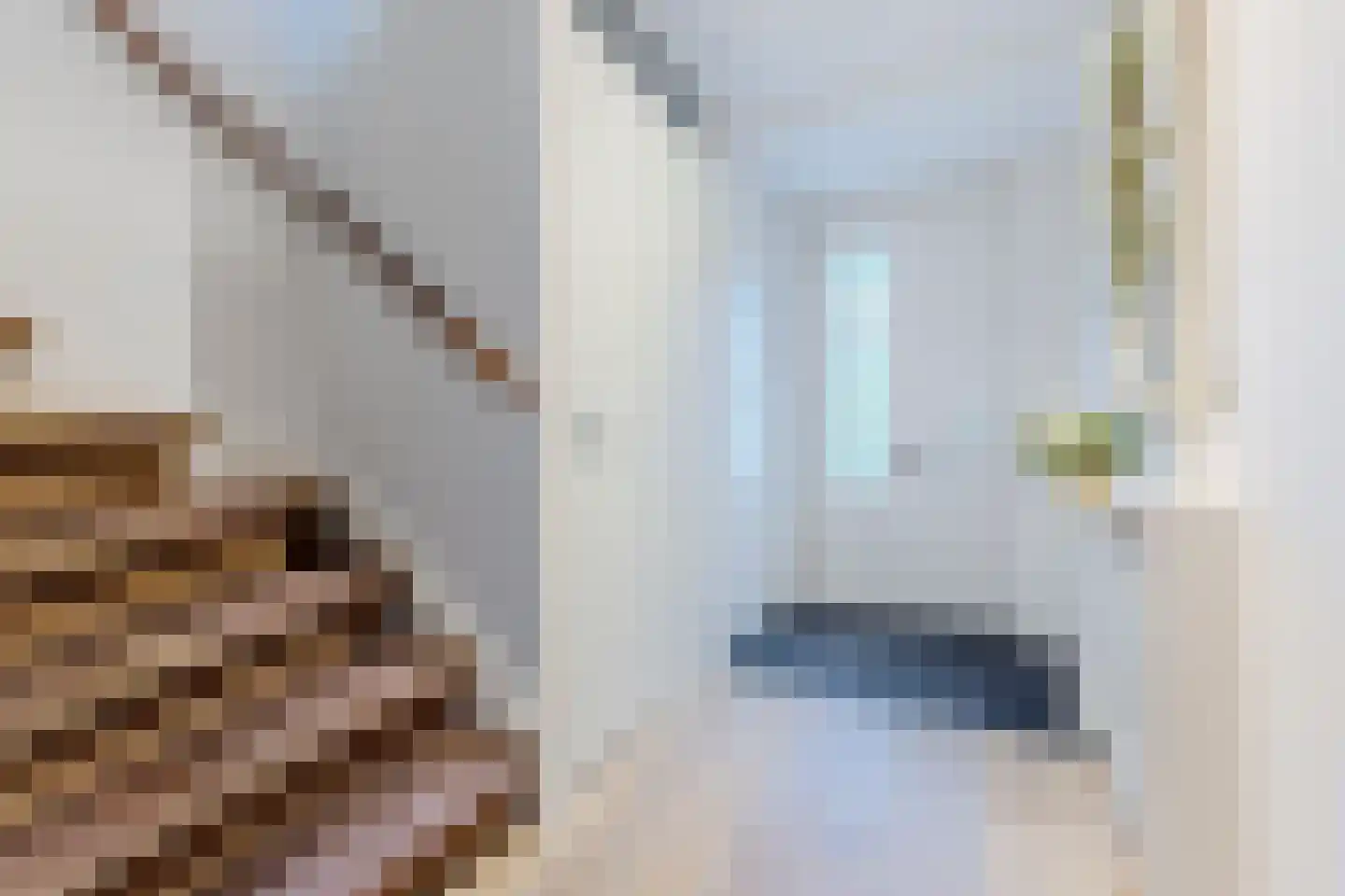 Francisco Goyastraat 15 Zaandam thumbnail 15