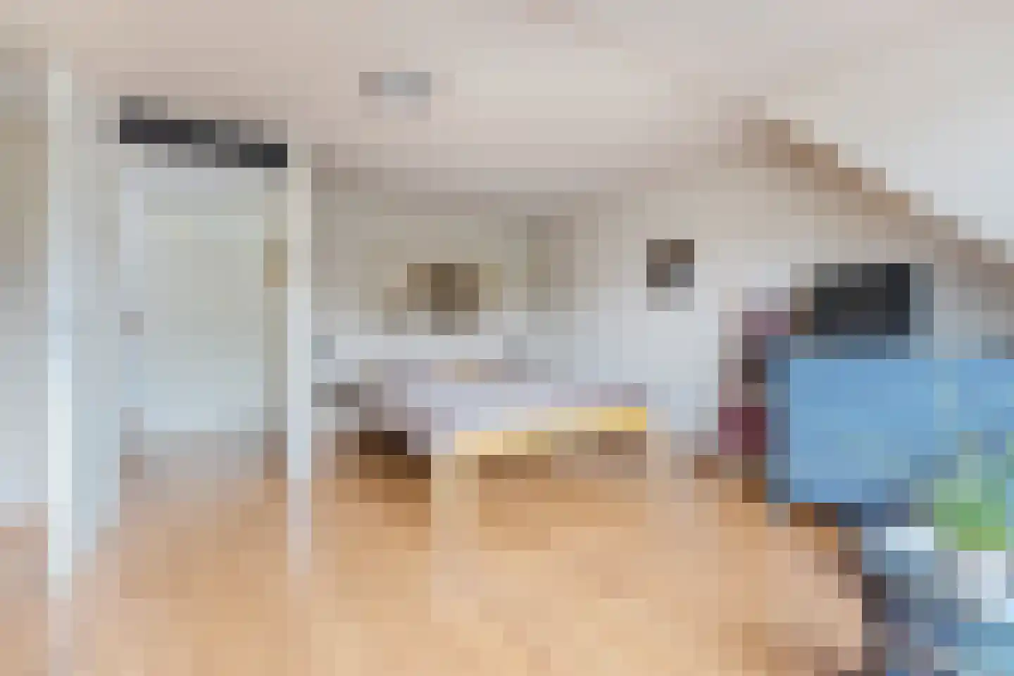 Francisco Goyastraat 15 Zaandam thumbnail 16