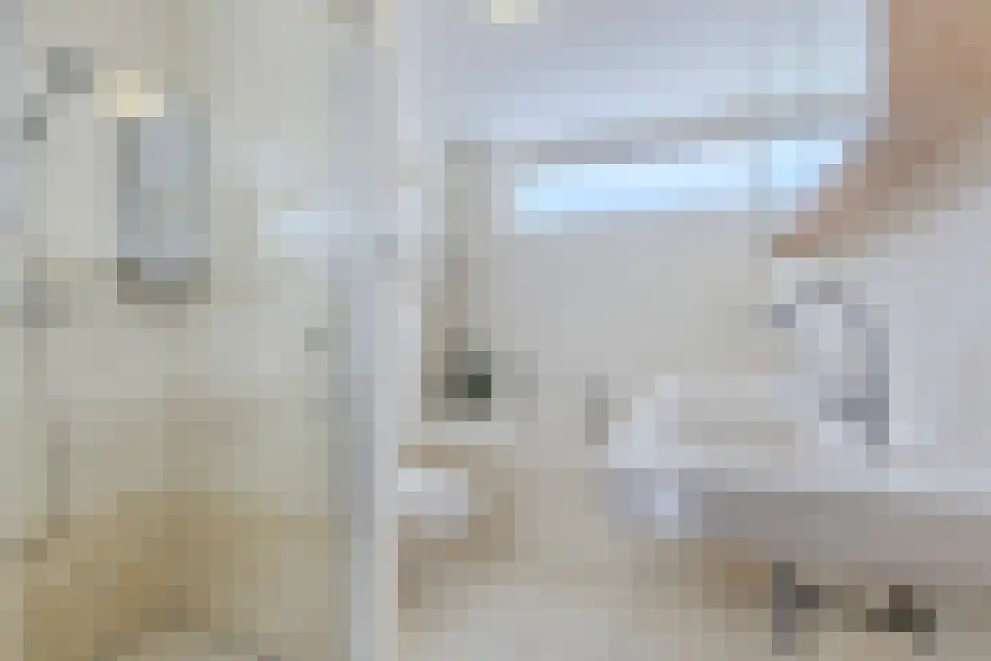 Francisco Goyastraat 15 Zaandam thumbnail 21