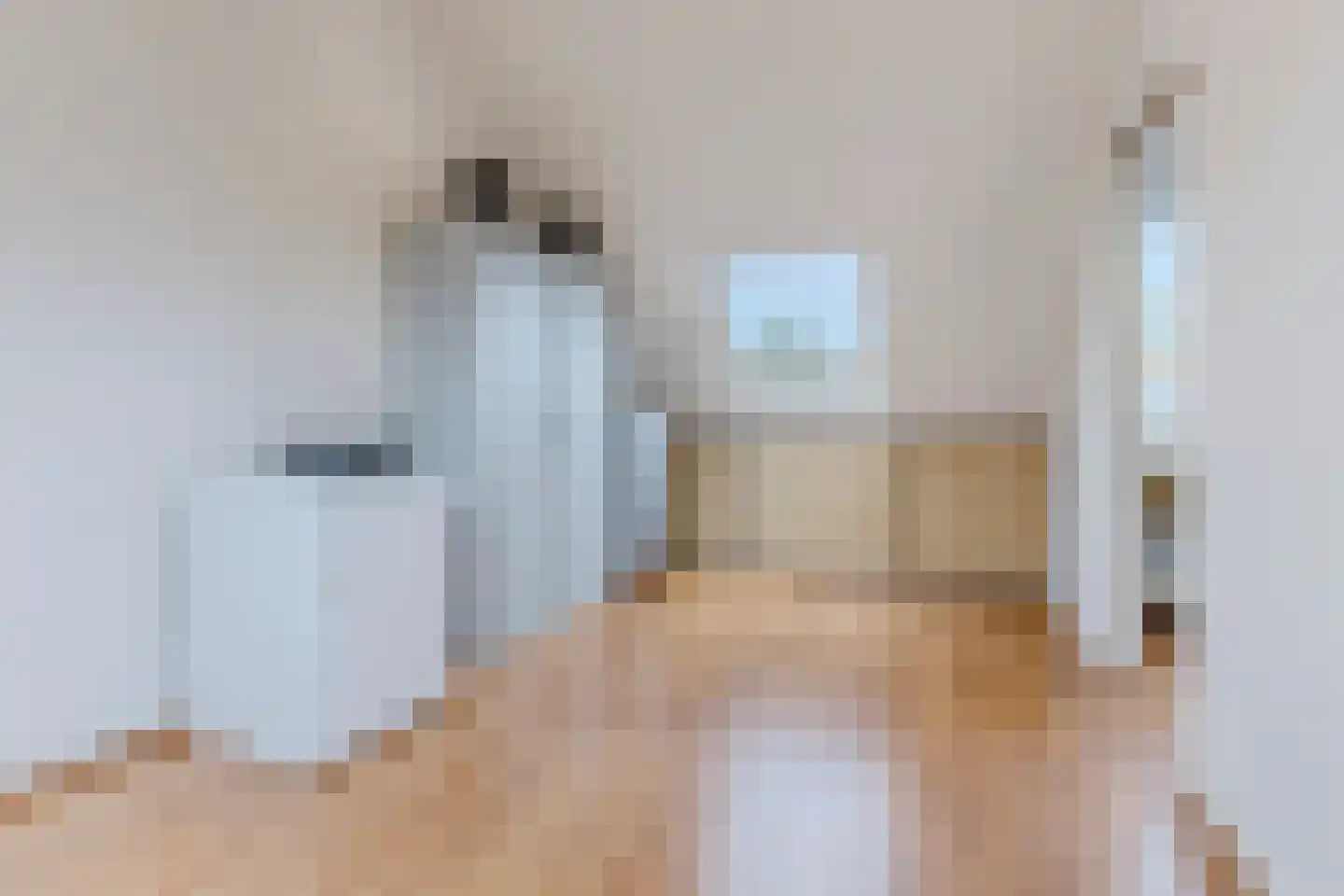 Francisco Goyastraat 15 Zaandam thumbnail 25