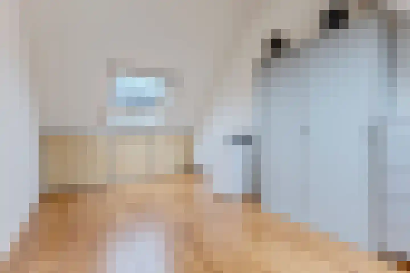 Francisco Goyastraat 15 Zaandam thumbnail 26
