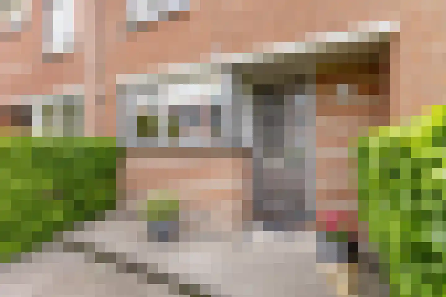 Francisco Goyastraat 15 Zaandam thumbnail 29