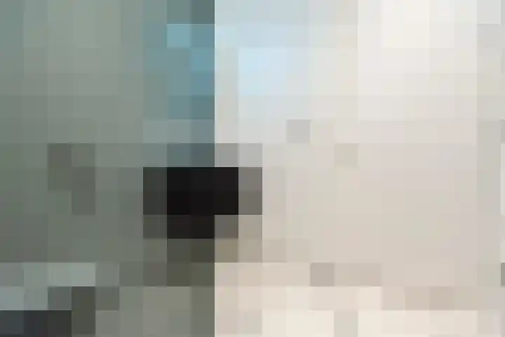 Francisco Goyastraat 3 C Zaandam thumbnail 11