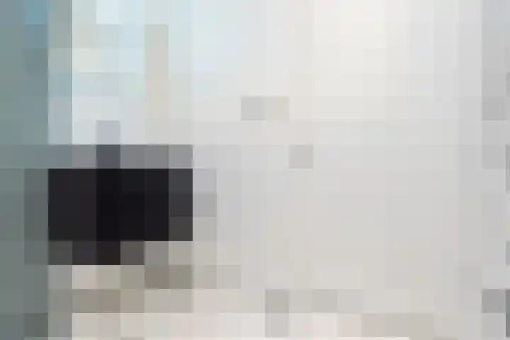 Francisco Goyastraat 3 C Zaandam thumbnail 12