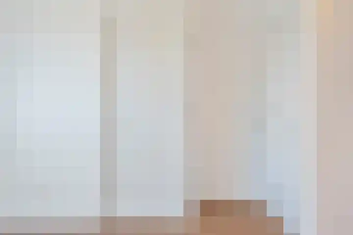 Francisco Goyastraat 3 C Zaandam thumbnail 17