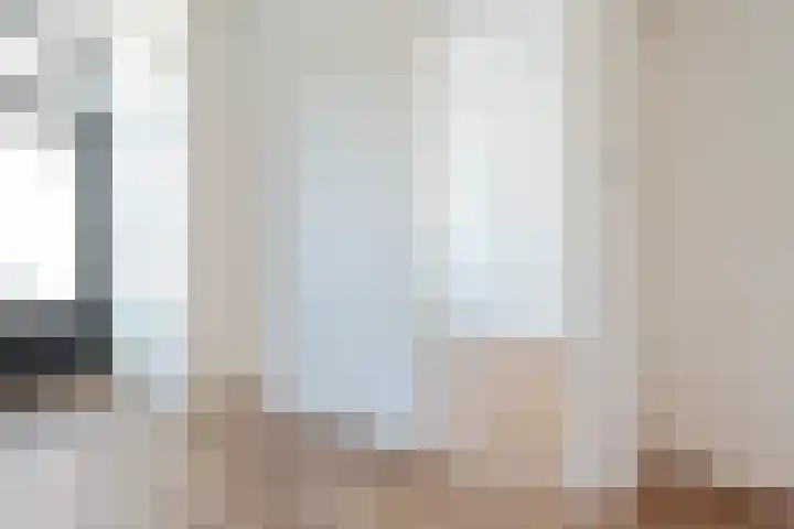 Francisco Goyastraat 3 C Zaandam thumbnail 18