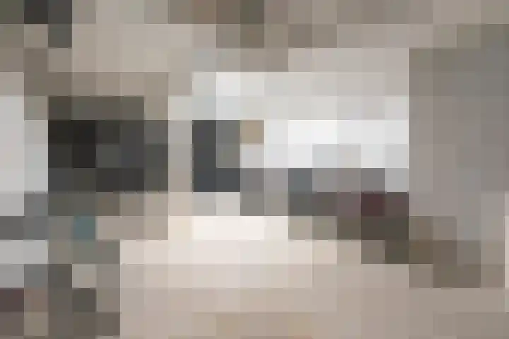 Francisco Goyastraat 3 C Zaandam thumbnail 25