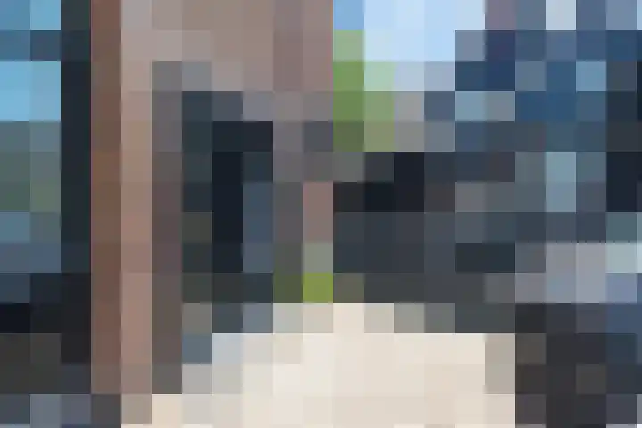 Francisco Goyastraat 3 C Zaandam thumbnail 30