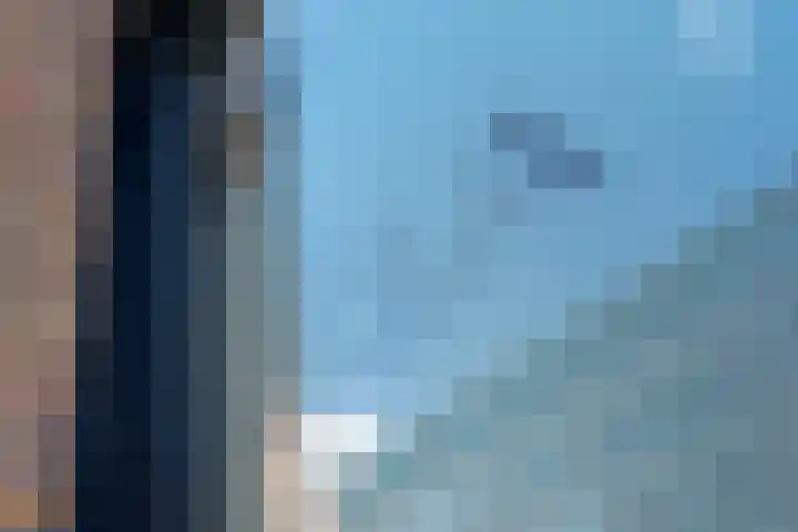 Francisco Goyastraat 3 C Zaandam thumbnail 34