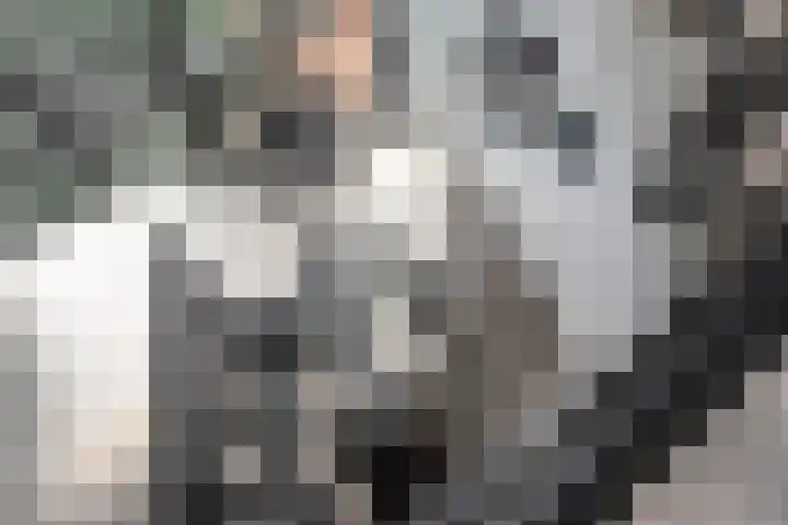 Francisco Goyastraat 5 N Zaandam thumbnail 30