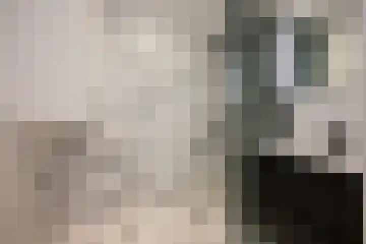 Francisco Goyastraat 5 N Zaandam thumbnail 8