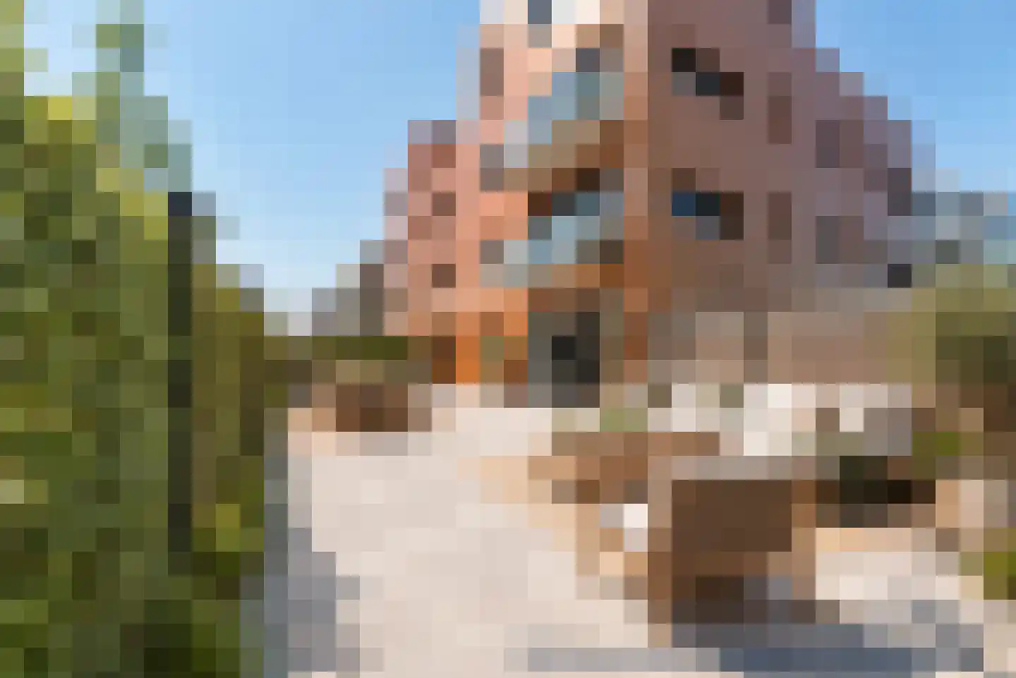 Francisco Pizarrostraat 104 Almere thumbnail 32