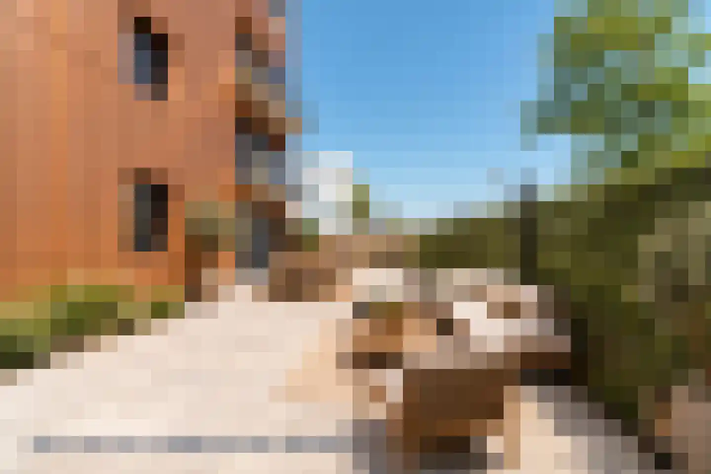 Francisco Pizarrostraat 104 Almere thumbnail 34